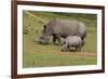 South African White Rhinoceros 028-Bob Langrish-Framed Photographic Print