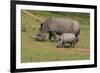 South African White Rhinoceros 028-Bob Langrish-Framed Photographic Print