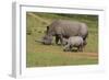 South African White Rhinoceros 028-Bob Langrish-Framed Photographic Print