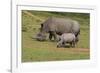 South African White Rhinoceros 028-Bob Langrish-Framed Photographic Print