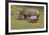 South African White Rhinoceros 028-Bob Langrish-Framed Photographic Print