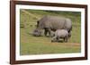 South African White Rhinoceros 028-Bob Langrish-Framed Photographic Print