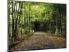 South Albany, View of Country Road, Northeast Kingdom, Vermont, USA-Walter Bibikow-Mounted Photographic Print