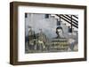 South America, Argentina, Tierra Del Fuego, Ushuaia, Mural Painting-Udo Bernhart-Framed Photographic Print