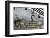 South America, Argentina, Tierra Del Fuego, Ushuaia, Mural Painting-Udo Bernhart-Framed Photographic Print