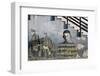 South America, Argentina, Tierra Del Fuego, Ushuaia, Mural Painting-Udo Bernhart-Framed Photographic Print