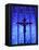 South America, Brazil, Brasilia, Distrito Federal, the Santuario Dom Bosco Church, Stained Glass Wi-Alex Robinson-Framed Stretched Canvas