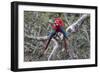 South America, Brazil, Mato Grosso do Sul, Jardim, A pair of red-and-green macaws together.-Ellen Goff-Framed Photographic Print