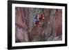 South America, Brazil, Mato Grosso do Sul, Jardim, Red-and-green macaws flying in the sinkhole.-Ellen Goff-Framed Photographic Print