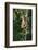 South America, Brazil, Pantanal Wetland, Capuchin Monkey Climbing a Vine in the Brazilian Jungle-Judith Zimmerman-Framed Photographic Print