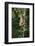 South America, Brazil, Pantanal Wetland, Capuchin Monkey Climbing a Vine in the Brazilian Jungle-Judith Zimmerman-Framed Photographic Print