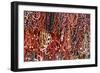 South America, Brazil, Salvador. Close-up of beads made of acai berries.-Alida Latham-Framed Photographic Print