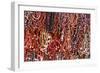 South America, Brazil, Salvador. Close-up of beads made of acai berries.-Alida Latham-Framed Photographic Print