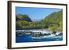 South America, Chile, Patagonia, National Park Petrohue, River Rio Petrohue, Rapids-Chris Seba-Framed Photographic Print