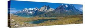 South America, Chile, Patagonia, National Park Torres Del Paine, Lake Lago Nordenskjšld-Chris Seba-Stretched Canvas