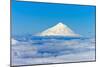 South America, Chile, Patagonia, Snowy Summit, Volcano Villarrica-Chris Seba-Mounted Photographic Print