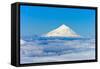 South America, Chile, Patagonia, Snowy Summit, Volcano Villarrica-Chris Seba-Framed Stretched Canvas
