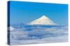 South America, Chile, Patagonia, Snowy Summit, Volcano Villarrica-Chris Seba-Stretched Canvas