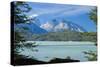 South America, Chile, Patagonia, Torres Del Paine National Park, Lake Lago Frey-Chris Seba-Stretched Canvas