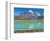 South America, Chile, Patagonia, Torres Del Paine National Park, Mountain Landscape-Chris Seba-Framed Photographic Print