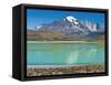 South America, Chile, Patagonia, Torres Del Paine National Park, Mountain Landscape-Chris Seba-Framed Stretched Canvas