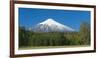 South America, Chile, Patagonia, Volcano Villarrica, Snowy Summit, Forest-Chris Seba-Framed Photographic Print