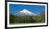 South America, Chile, Patagonia, Volcano Villarrica, Snowy Summit, Forest-Chris Seba-Framed Photographic Print
