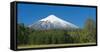 South America, Chile, Patagonia, Volcano Villarrica, Snowy Summit, Forest-Chris Seba-Framed Stretched Canvas