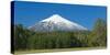 South America, Chile, Patagonia, Volcano Villarrica, Snowy Summit, Forest-Chris Seba-Stretched Canvas