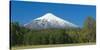 South America, Chile, Patagonia, Volcano Villarrica, Snowy Summit, Forest-Chris Seba-Stretched Canvas