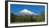 South America, Chile, Patagonia, Volcano Villarrica, Snowy Summit, Forest-Chris Seba-Framed Photographic Print