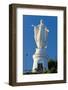 South America, Chile, Santiago De Chile, Mountain Cerro San Cristobal, Statue of the Virgin Mary-Chris Seba-Framed Photographic Print