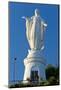 South America, Chile, Santiago De Chile, Mountain Cerro San Cristobal, Statue of the Virgin Mary-Chris Seba-Mounted Photographic Print