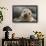 South America, Ecuador, Galapagos Islands. Portrait of Sea Lion Pup-Jaynes Gallery-Framed Photographic Print displayed on a wall