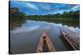 South America, Peru, Amazonia, Manu National Park, UNESCO World Heritage-Christian Heeb-Stretched Canvas