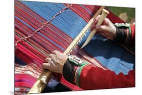 South America, Peru, Chinchero. Chinchero Cooperative weaver demonstrates using loom and tool.-Kymri Wilt-Mounted Photographic Print