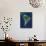 South America, Satellite Image-PLANETOBSERVER-Framed Stretched Canvas displayed on a wall
