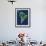 South America, Satellite Image-PLANETOBSERVER-Framed Photographic Print displayed on a wall