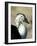 South American Comb Duck-Colin Seddon-Framed Photographic Print