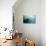 South American Manatee Eating Aquatic Grass-null-Stretched Canvas displayed on a wall