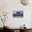 South American Terns (Sterna Hirundinacea) Near Rio Deseado-Michael Nolan-Photographic Print displayed on a wall