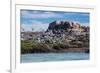 South American Terns (Sterna Hirundinacea) Near Rio Deseado-Michael Nolan-Framed Photographic Print