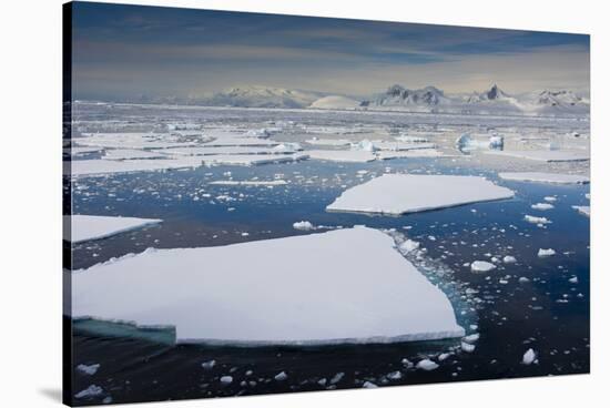 South Antarctic Circle, Near Adelaide Island. the Gullet. Ice Floes-Inger Hogstrom-Stretched Canvas
