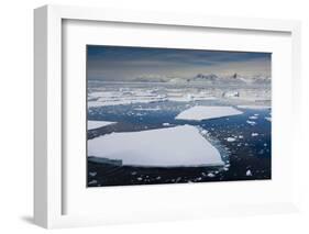 South Antarctic Circle, Near Adelaide Island. the Gullet. Ice Floes-Inger Hogstrom-Framed Photographic Print