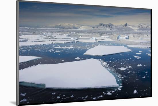 South Antarctic Circle, Near Adelaide Island. the Gullet. Ice Floes-Inger Hogstrom-Mounted Photographic Print