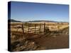 South Arizona Near Mexican Border, United States of America, North America-Lomax David-Stretched Canvas