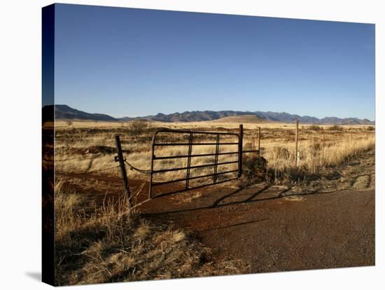 South Arizona Near Mexican Border, United States of America, North America-Lomax David-Stretched Canvas