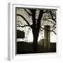 South Bank and Millennium Wheel, London, England-Jon Arnold-Framed Photographic Print