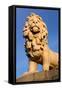 South Bank Lion, London-Peter Thompson-Framed Stretched Canvas