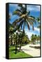 South Beach Common-Raul Rosa-Framed Stretched Canvas